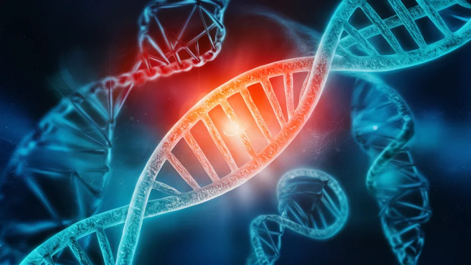 genetic test