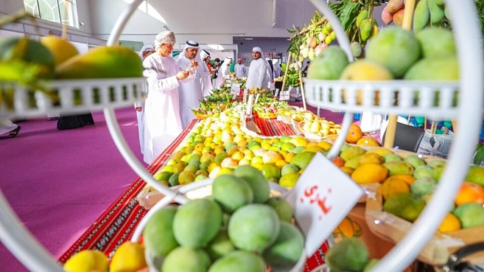 khor-fakkan-mango-festival-2025