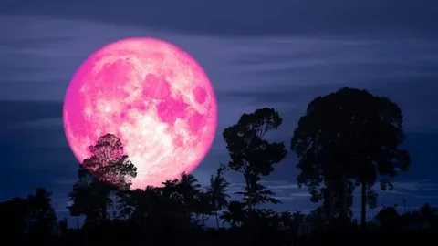 Strawberry Moon 2025