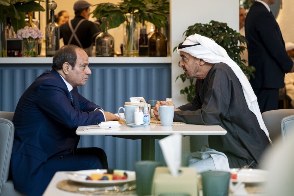 UAE Egyptian Presidents discuss