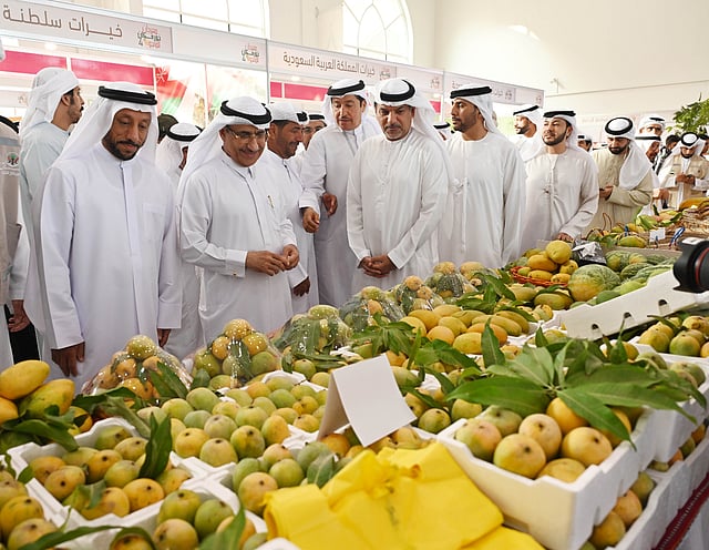 Khorfakkan Mango Festival Success