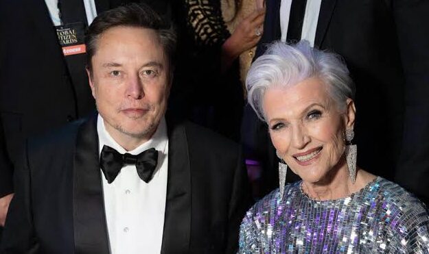 Elon Musk actual vision