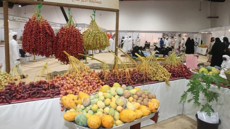 Al Dhaid Date Festival