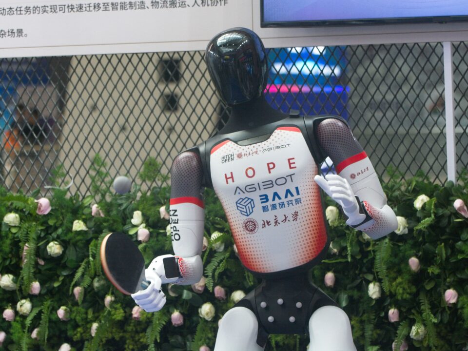 China humanoid robot development